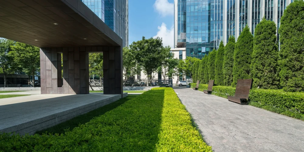 commercial landscaping company in dubai